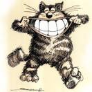 testmodel5 testmodel5